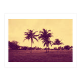 Palm Trees (Print Only) thumbnail