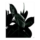 Dark Tree (Print Only) thumbnail