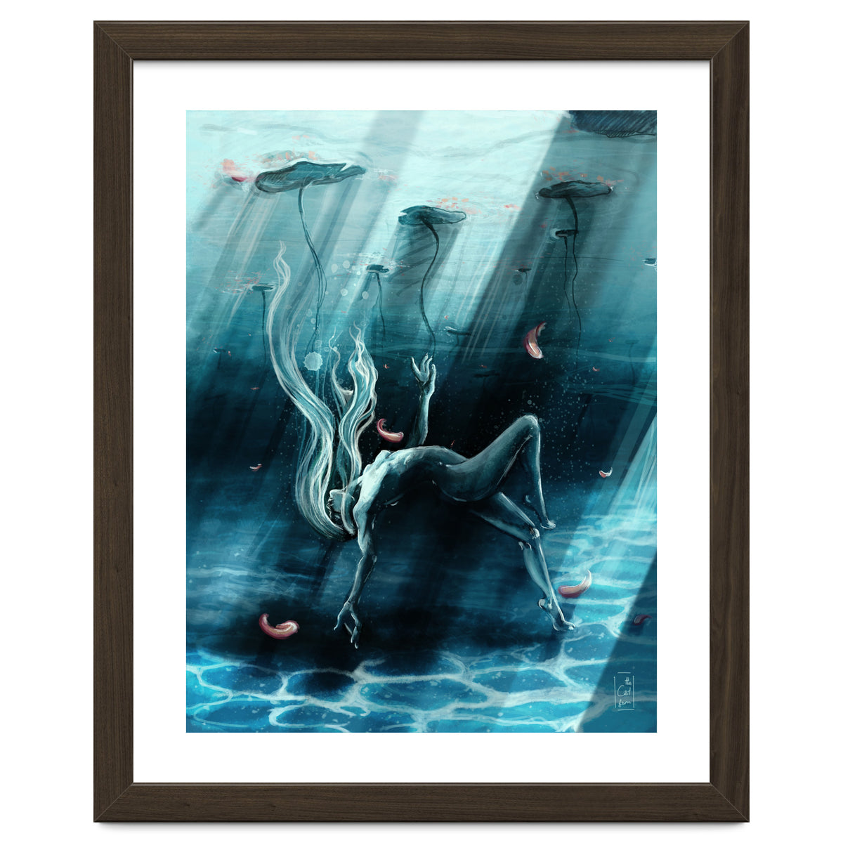 Dance of the Waterlily