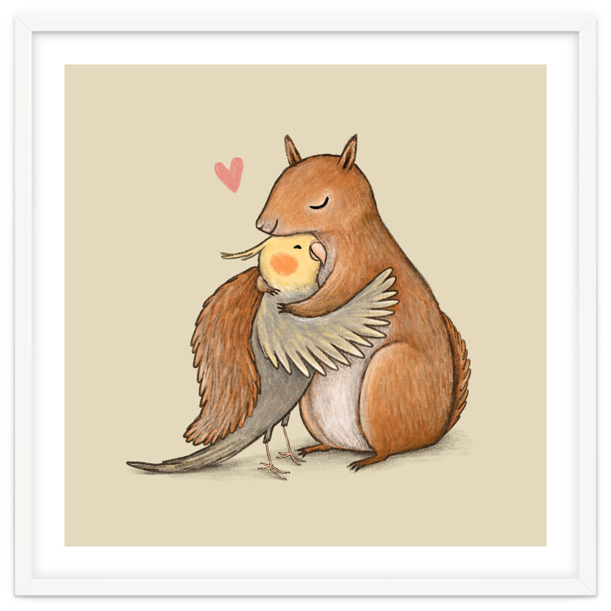 Cockatiel And Squirrel
