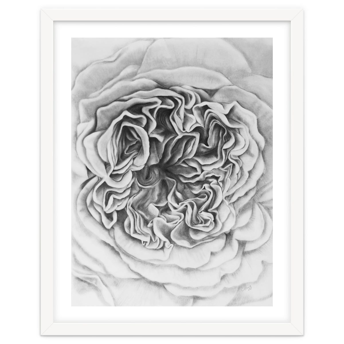 A Rose in Monochrome