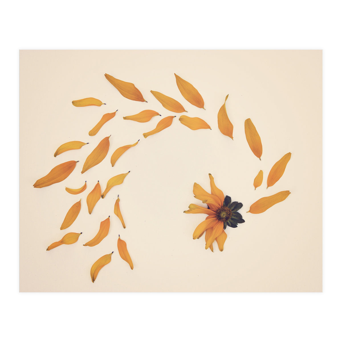 Everything Changed (Print Only)