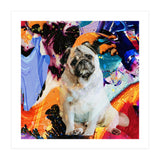 Zycko Color Dog 2 (Print Only) thumbnail