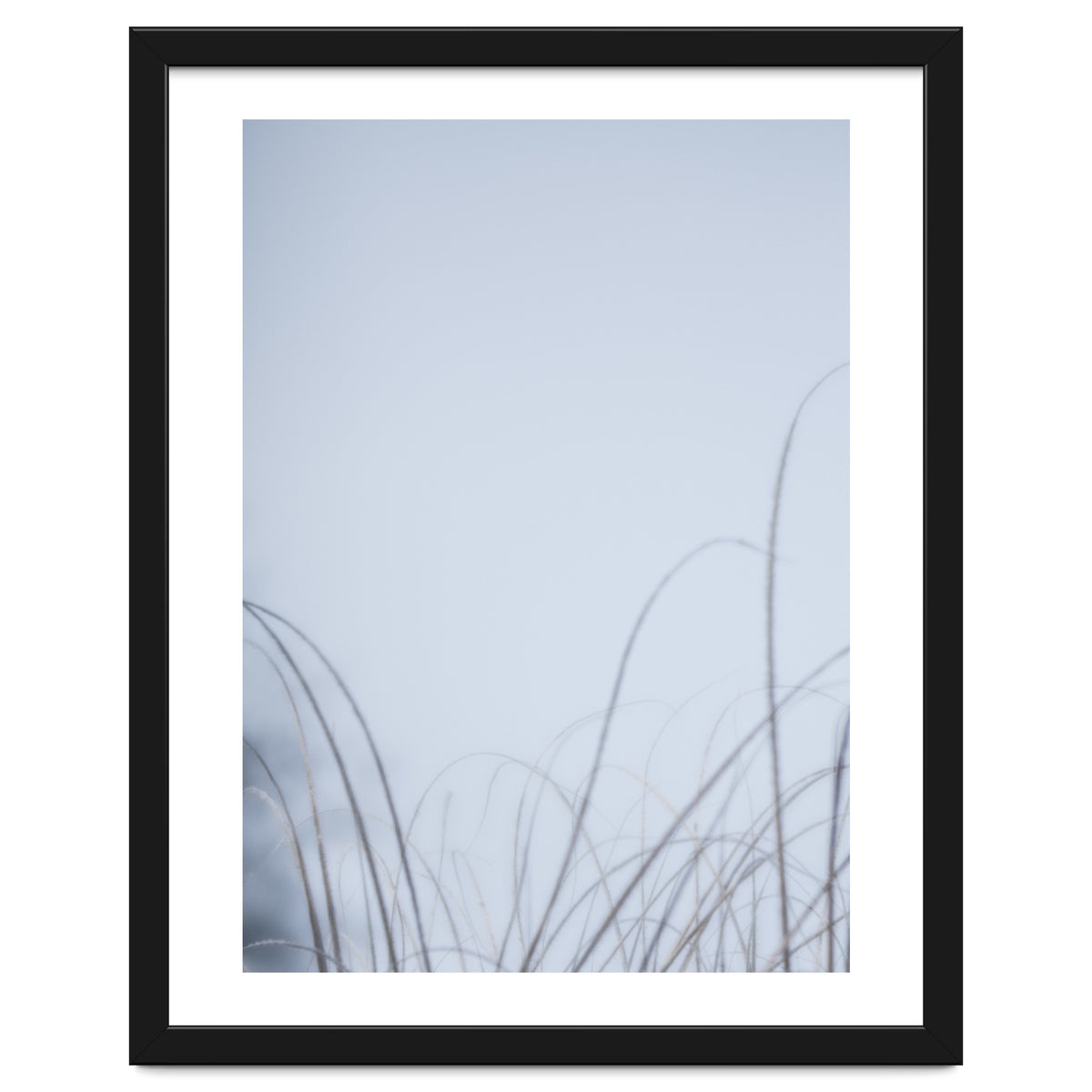 Forgotten Memories of Summer #20