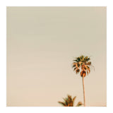 Minimal Palms  (Print Only) thumbnail