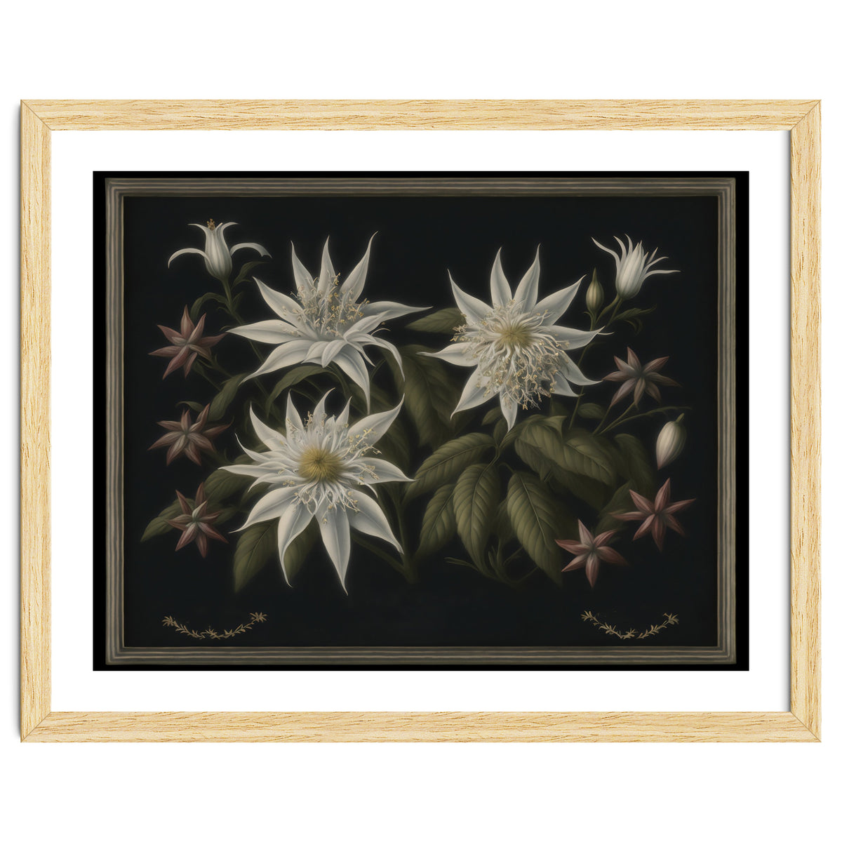 Edelweiss Vintage Illustration