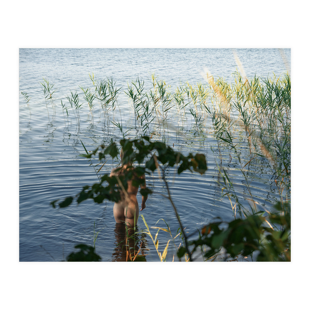 One, Two, Three (Print Only)