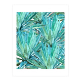 Agave  (Print Only) thumbnail
