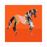 Crazy Ab Horse (Print Only) thumbnail