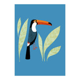 Toucan (Print Only) thumbnail