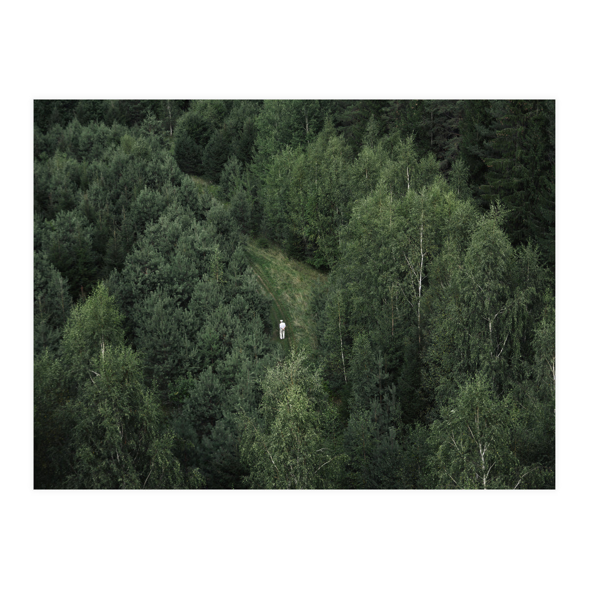 What’s The Date Today? (Print Only)