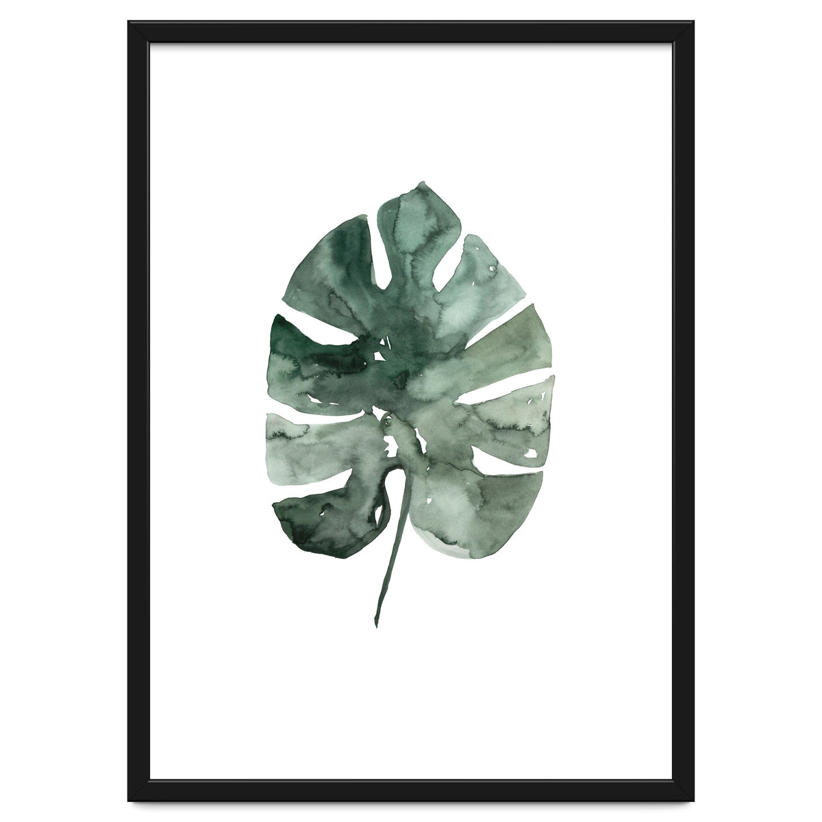 Botanical Illustration Monstera Leaf