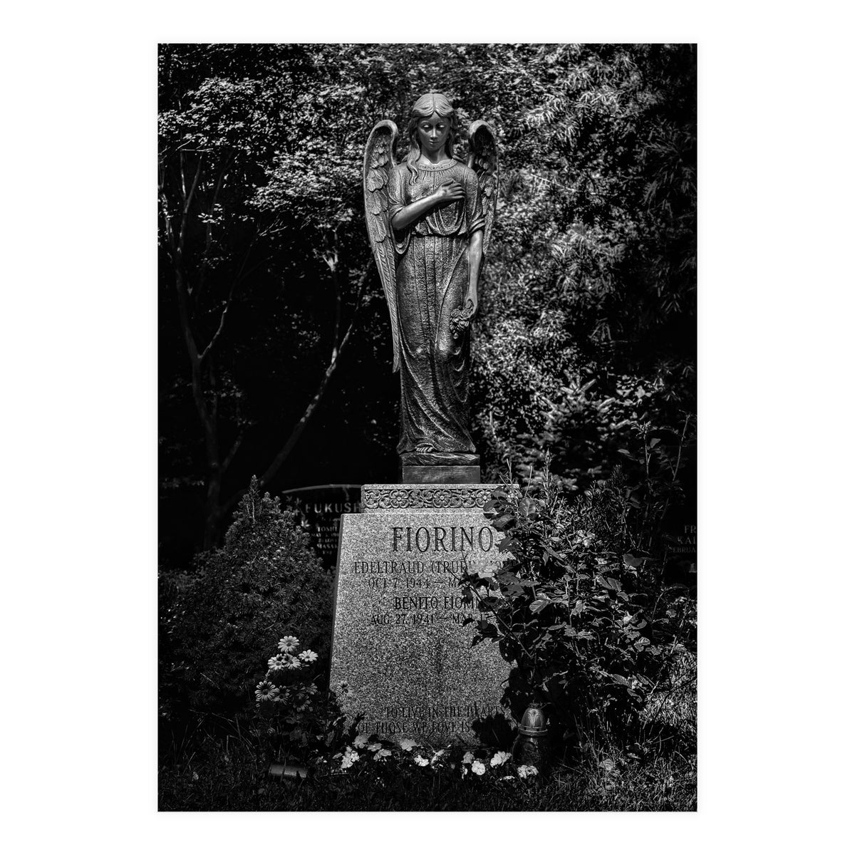 Tombstone Shadow No 18 (Print Only)