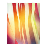 Carnival 2 (Print Only) thumbnail