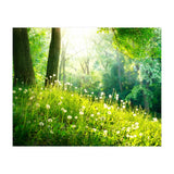 Nature (Print Only) thumbnail