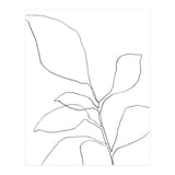 Six Leaf Plant (Print Only) thumbnail
