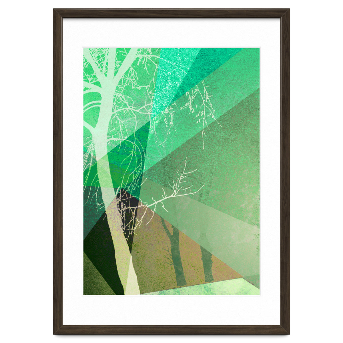 P22-B6 Trees And Triangles