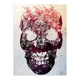 Floral Skull (Print Only) thumbnail