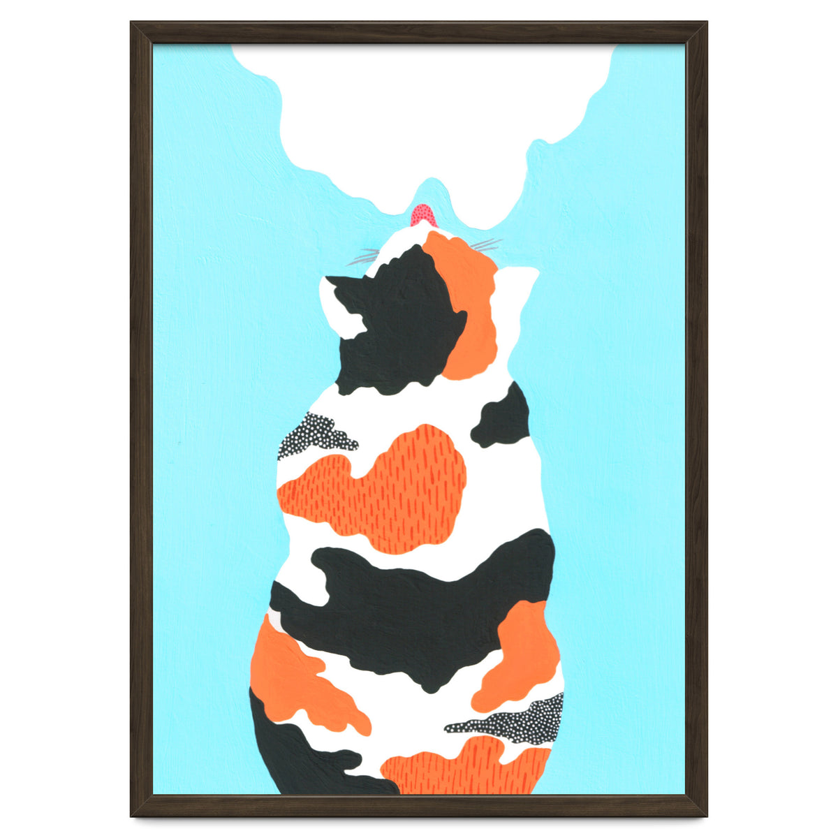 Tri Colored Calico Cat