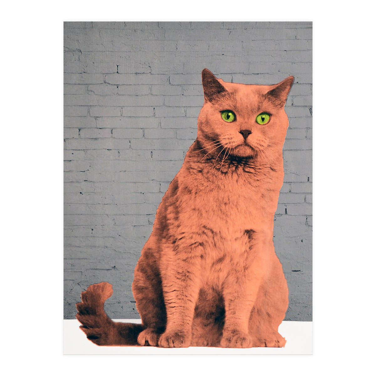 Everybody Wants To Be A Cat  (Print Only)