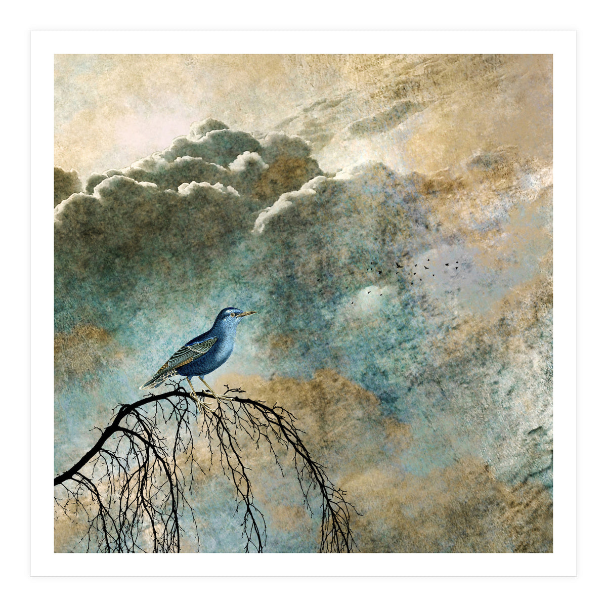 HEAVENLY BIRD IIa (Print Only)