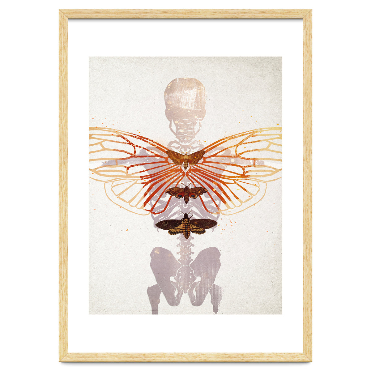 Ikarus - Like a Moth to the Flame