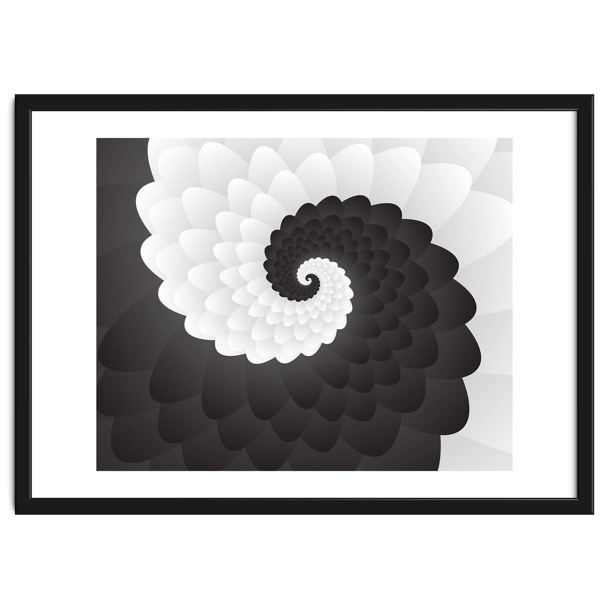 Mono Chrome Spiral Pattern