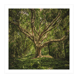 Spirits inside the wood (Print Only) thumbnail
