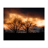 Spring Sunset (Print Only) thumbnail