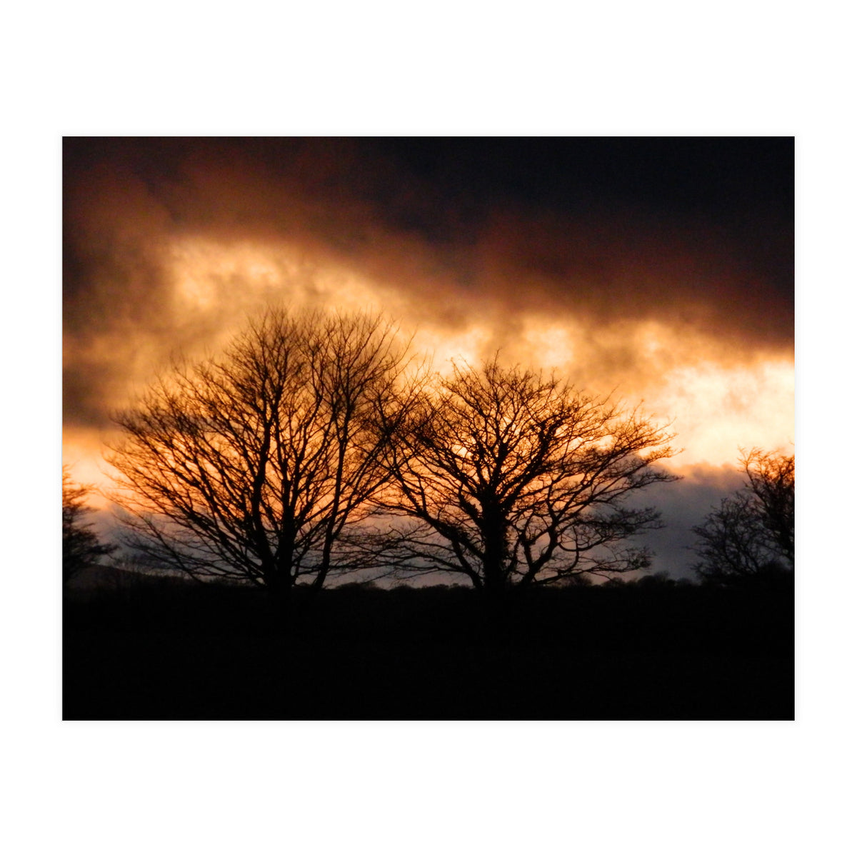 Spring Sunset (Print Only)