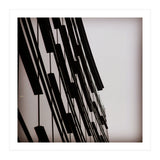 49297170 629 B 473 D B396 E6 A544 Fe82 Bb (Print Only) thumbnail