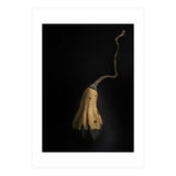Gourds No 12 Color Version (Print Only) thumbnail