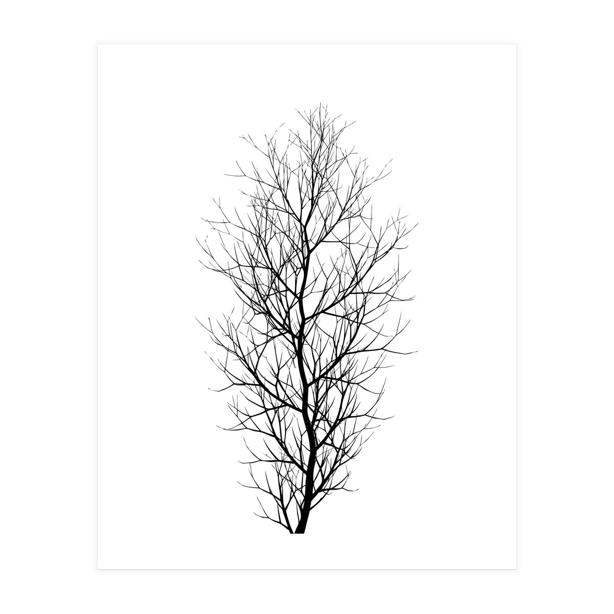 The Tree Black (Print Only)