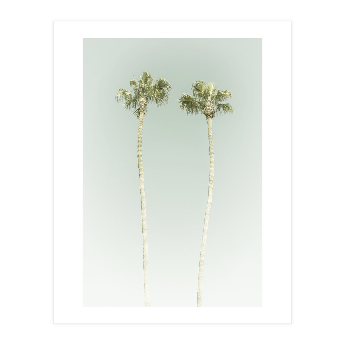 Vintage Palm Trees  (Print Only)