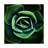 DARKSIDE OF SUCCULENTS XIV (Print Only) thumbnail