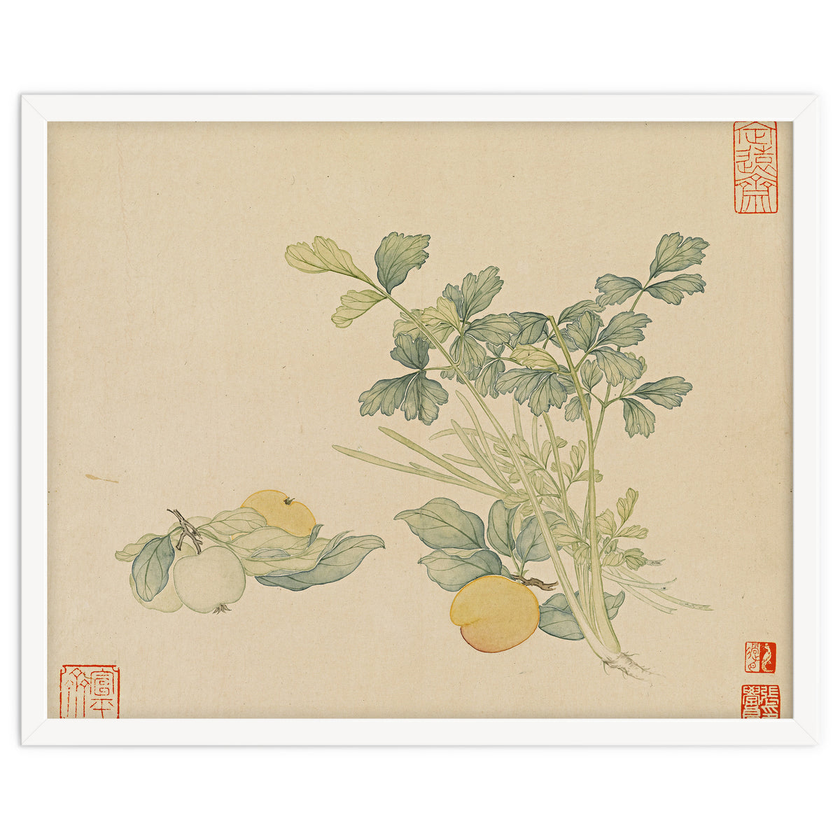 Wang Chengyu~flowers And Vegetables, Vegetables, Fruits, Plums, Apricots, Celery