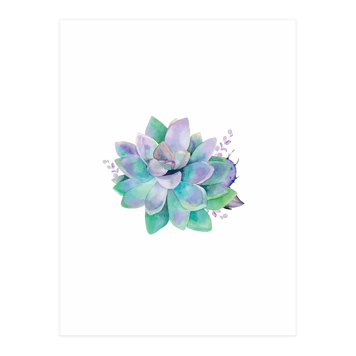 Aqua Succulent (Print Only)