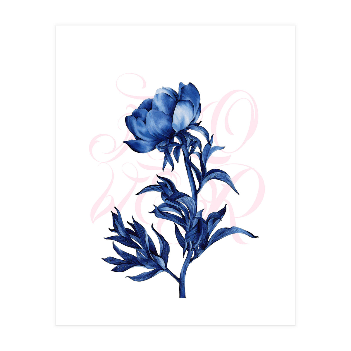 rosa blu (Print Only)