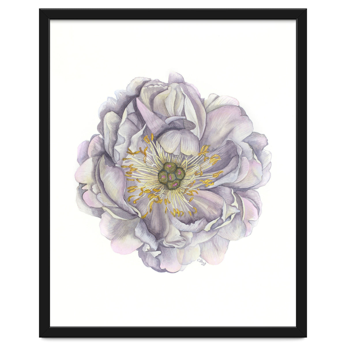 A Peony In Grey Std