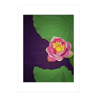 Water lily (Print Only)