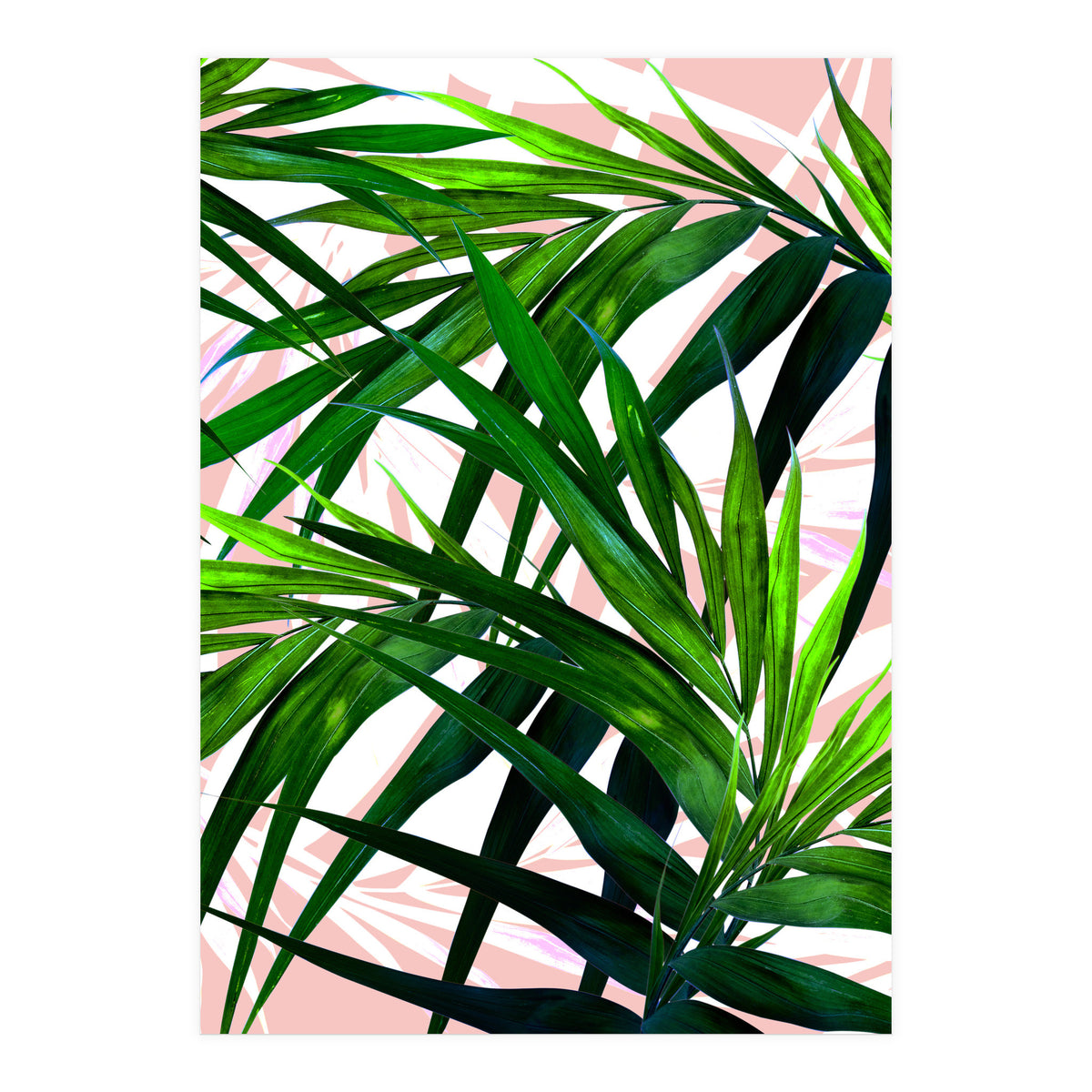 Dream paradise  (Print Only)