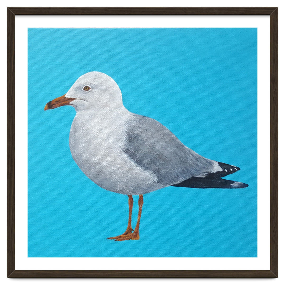 Seagull