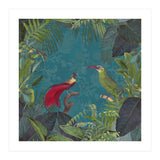 Birds Of Paradise (Print Only) thumbnail