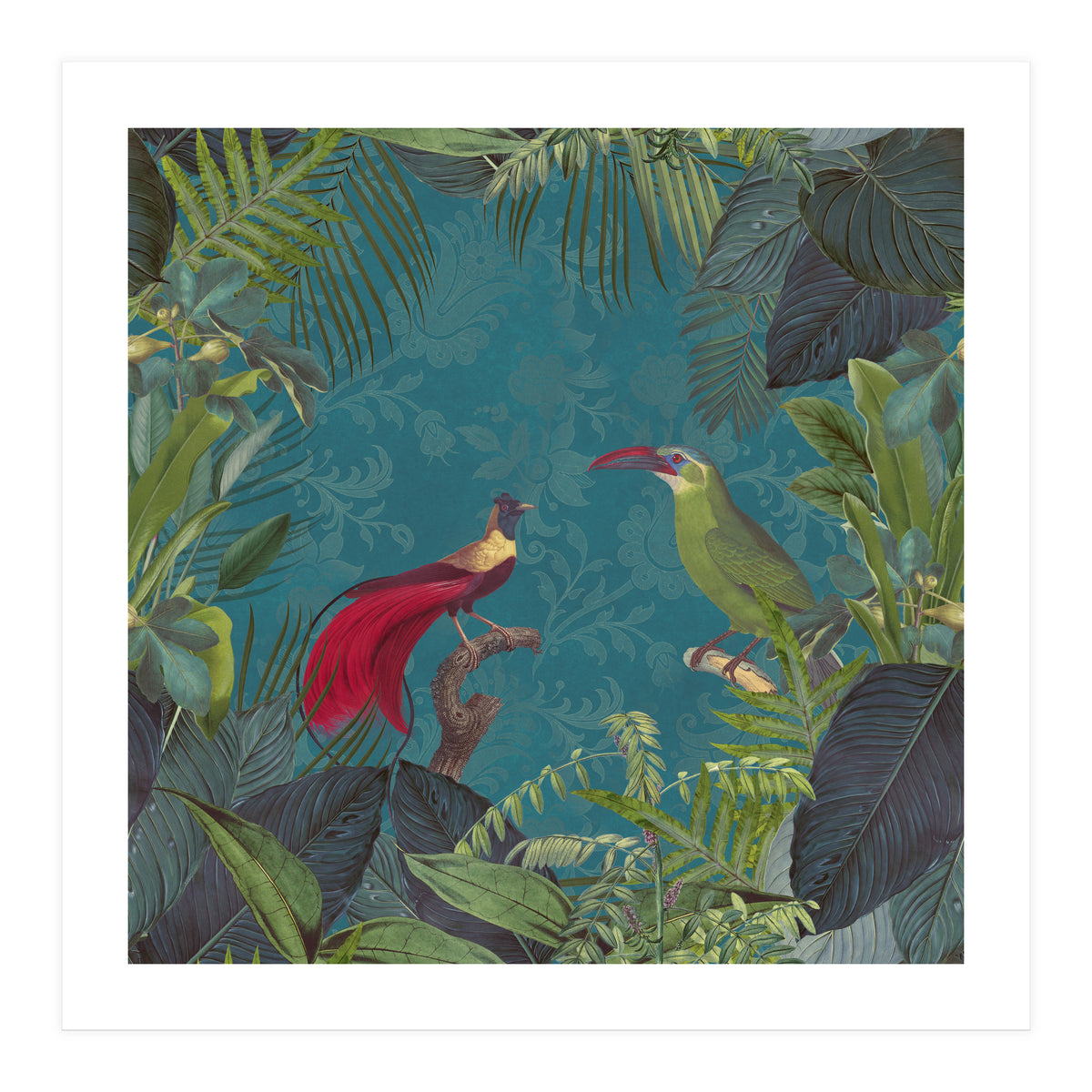 Birds Of Paradise (Print Only)