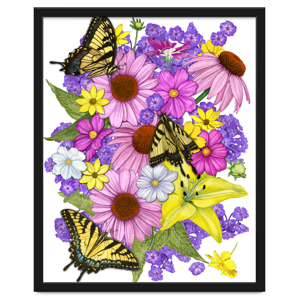 Corn Flowers and Swallowtails