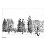 Norwegian Winter (Print Only) thumbnail