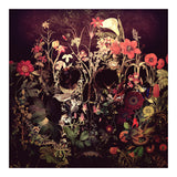 Bloom Skull (Print Only) thumbnail