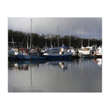 Fleet (Print Only) thumbnail