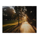 The Panhandle (Print Only) thumbnail