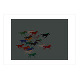 Stampede (Print Only) thumbnail